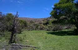 Sterkstroom, Eastern Cape 5425