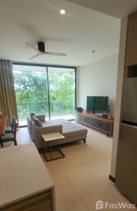/international/th/30450-pak-chong-nakhon-ratchasima-tha-n-a-nakhon-ratchasima-340105593686/?lang=th