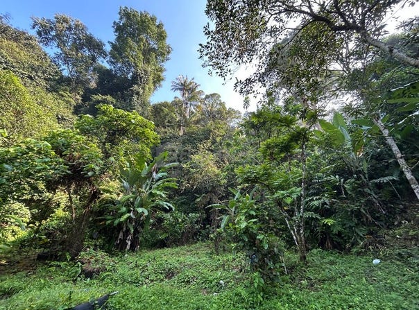 Hulu Langat, Selangor