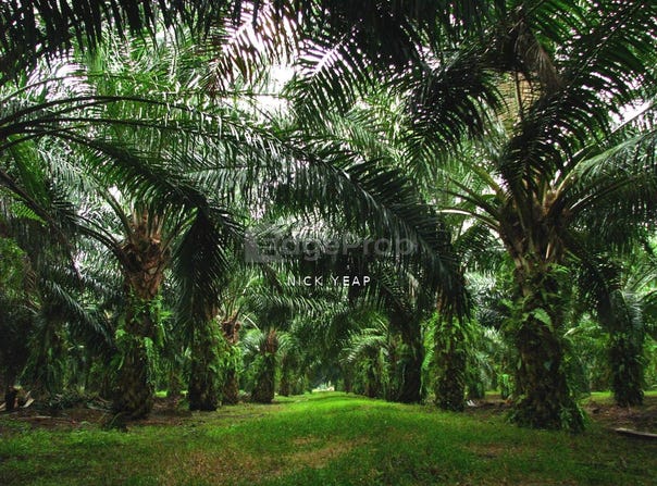 Temerloh, Pahang 28050