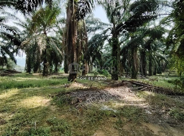 Kangkar Pulai, Johor 81300