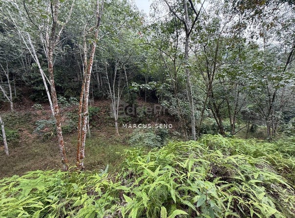 Kuala Kangsar, Perak 31100