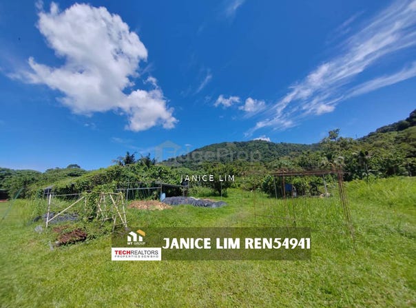 Balik Pulau, Penang 11000