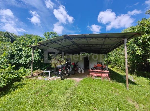 Balik Pulau, Penang 11000