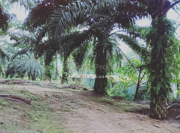 RAWANG, Selangor 0