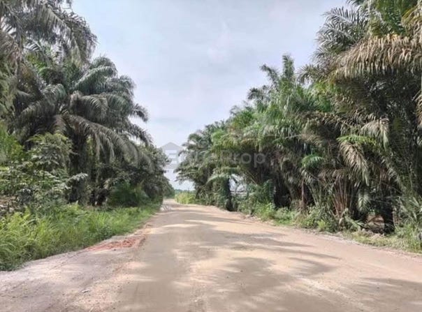 Pekan Nenas, Johor 81500