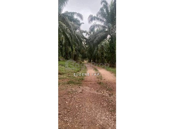 Lipis, Pahang 27200