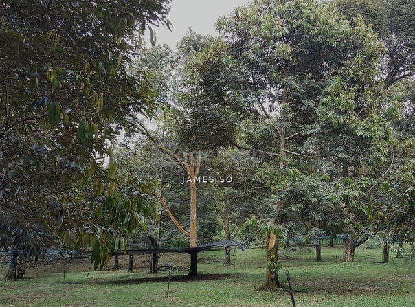 Krubong, Melaka 75260