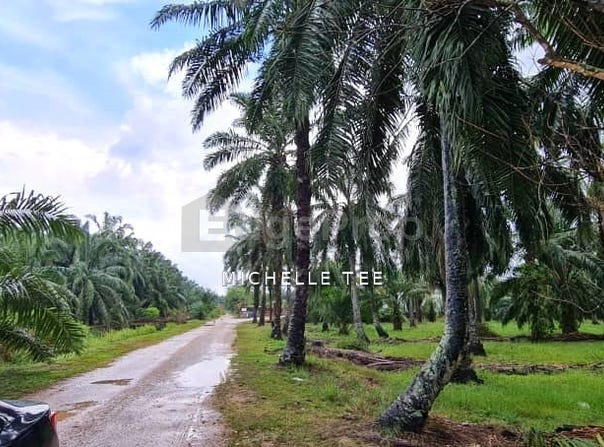 Kuala Selangor, Selangor 45600