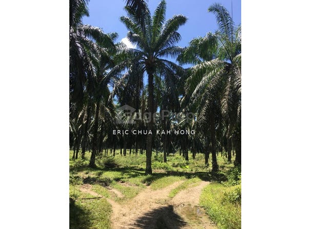 A, Kuala Kangsar, Perak 31100