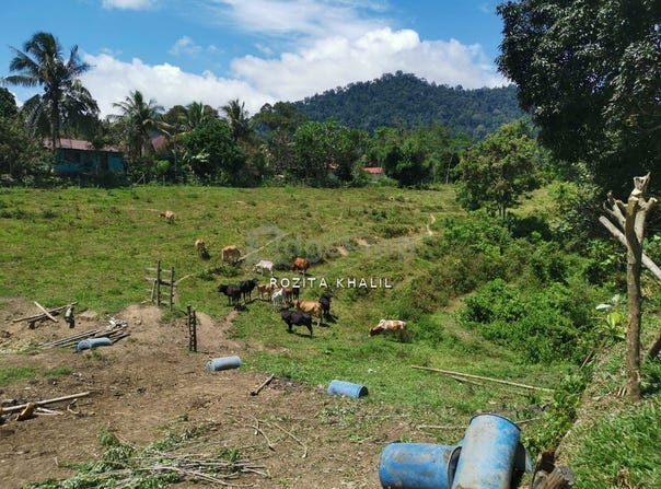 Bentong, Pahang 28750