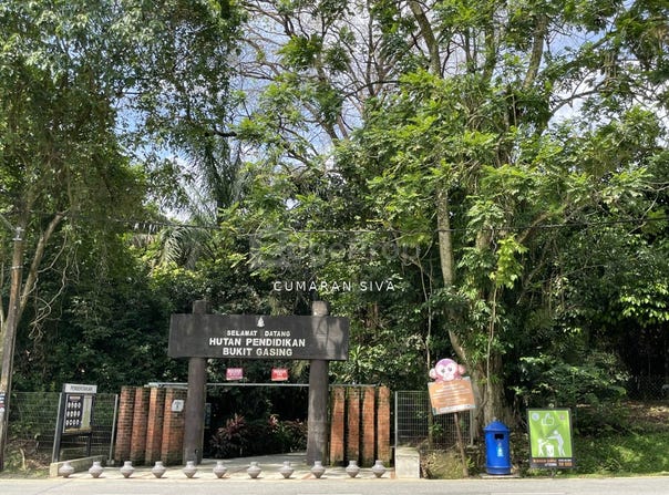 Petaling Jaya, Selangor 47300