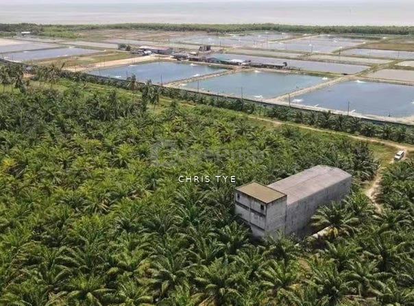 Kuala Selangor, Selangor 45500