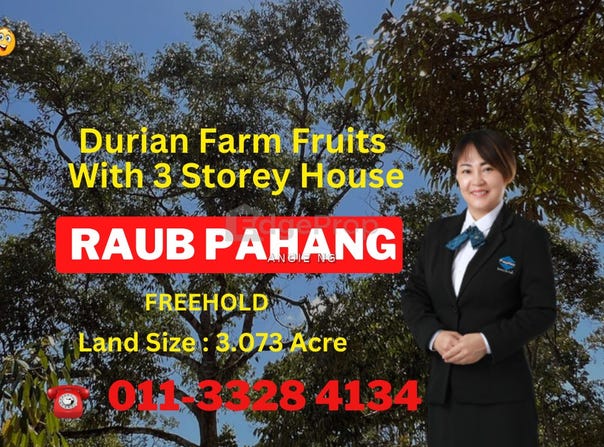 U, Raub, Pahang 27400