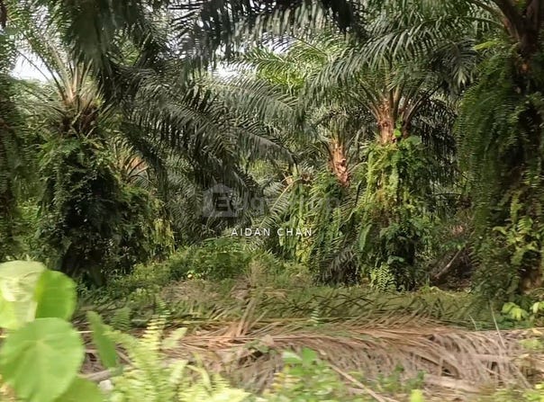 Telok Panglima Garang, Selangor 42500