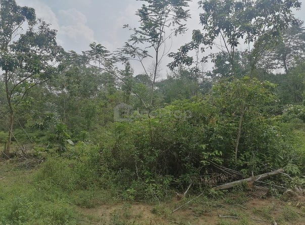 Senai, Johor 81400