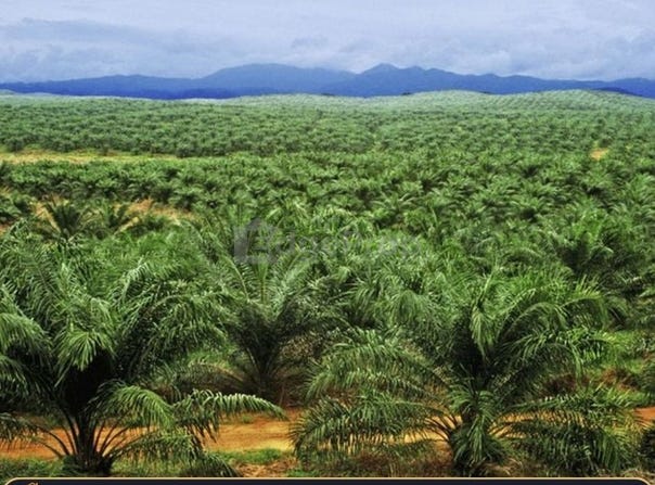 Putatan, Sabah 89500