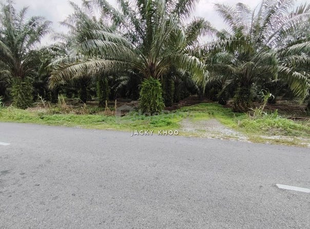 Banting, Selangor 42700