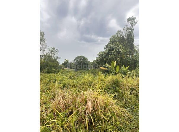 Kuala Langat, Selangor 42500