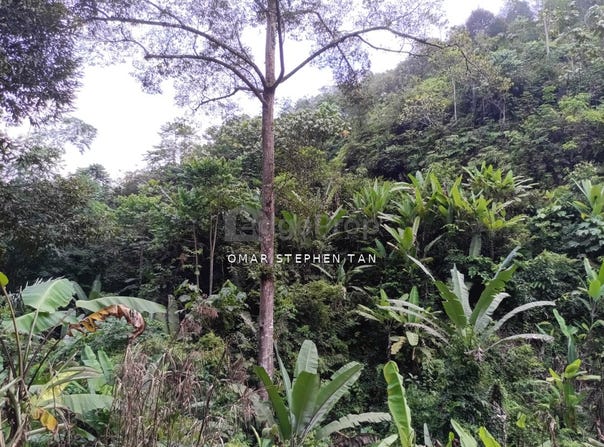 Bentong, Pahang 28750