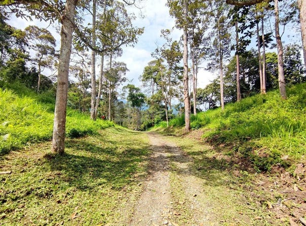 Bentong, Pahang 28750