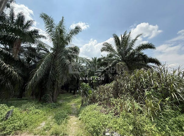 Chemor, Perak 31200