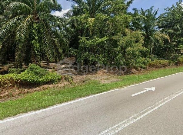 Pekan Nanas, Johor 81500