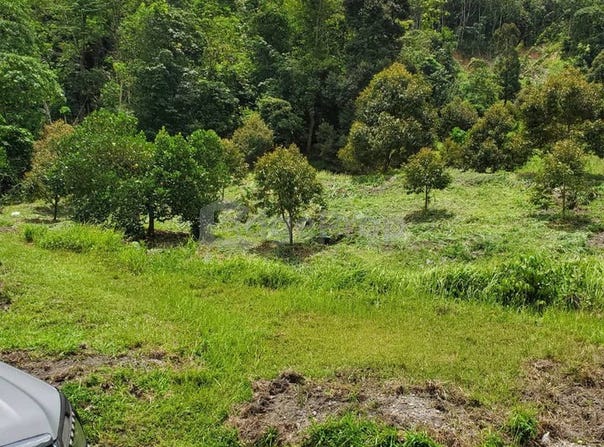 Bentong, Pahang