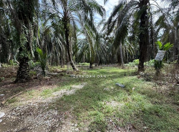 Beruas, Perak 32700