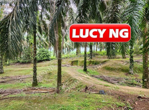 Larut Matang, Perak 34100