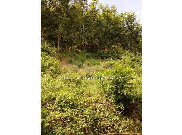 Kuala Nerang, Kedah 6300