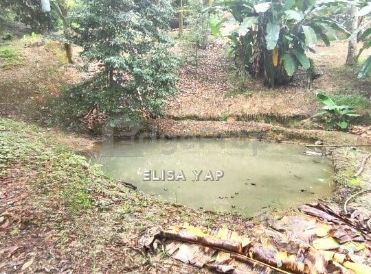 Bentong, Pahang 28700