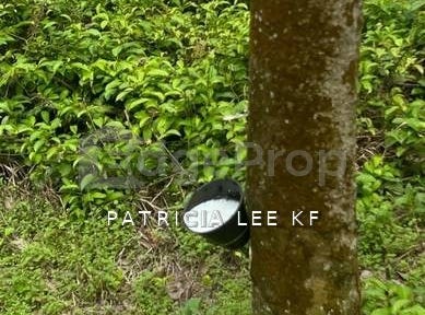 Bentong, Bentong, Pahang 28700