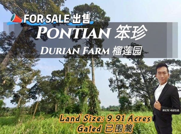 Pontian, Pontian, Johor 82000