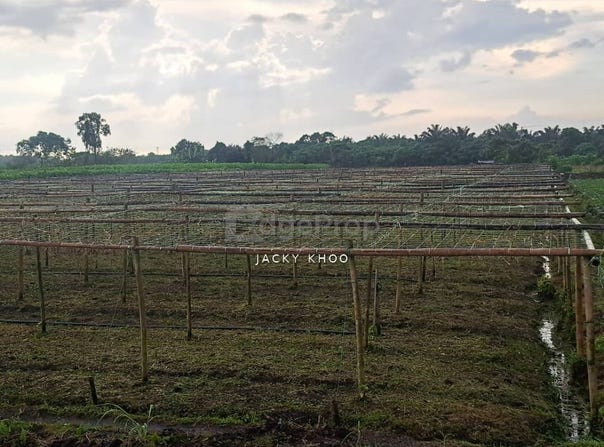 41200 Klang, Selangor, Klang, Selangor 41200