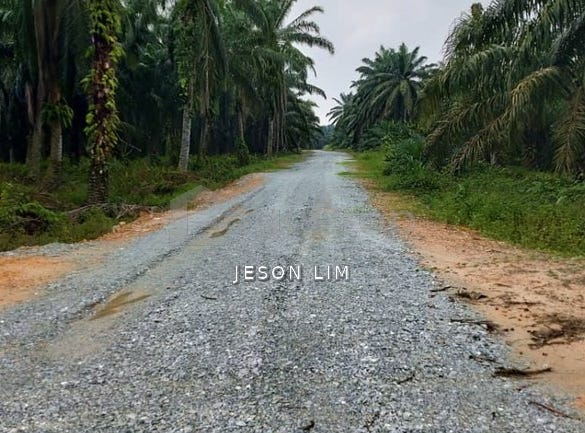 Banting, Selangor 42700