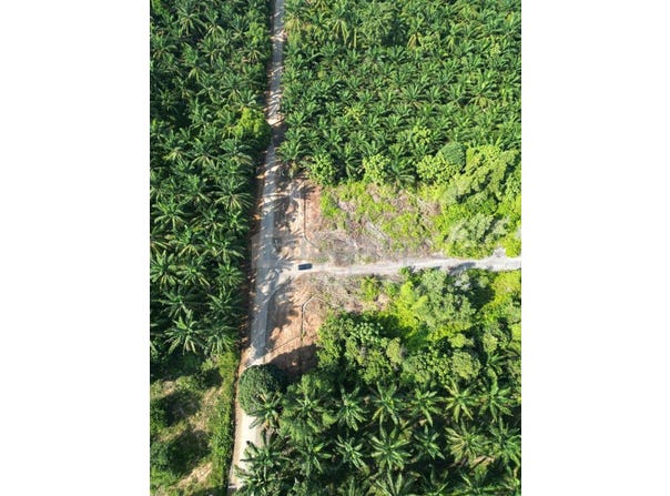 Jalan Bukit Berdamar, Cyberjaya, Selangor 63000