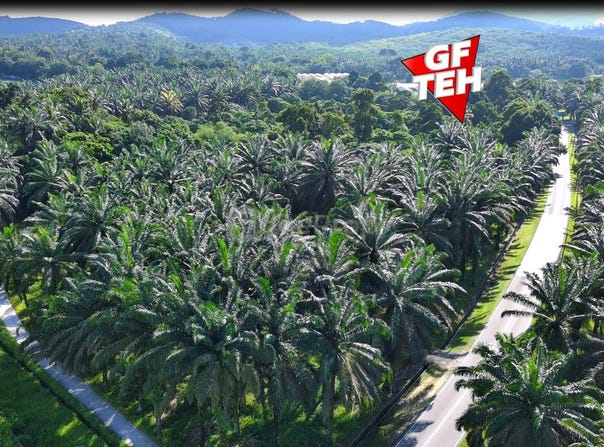 Jalan Bukit Teh, Kulim, Penang 14020