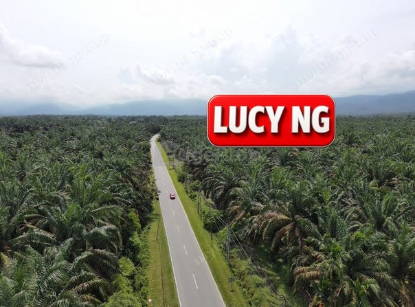 Larut Matang, Perak 34100