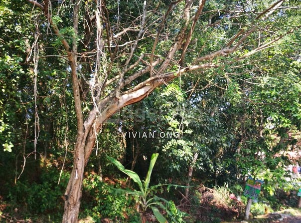 JALAN 13/3, Cheras South, Selangor 43100