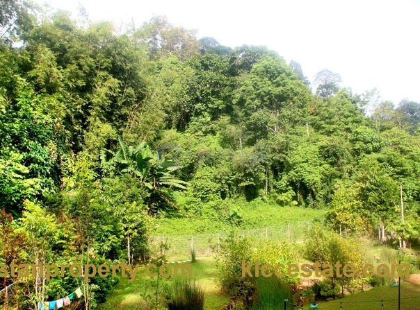 Jalan Kampung, Bentong, Pahang 28750