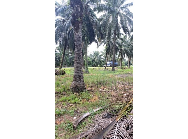 Jenjarom, Selangor 42600