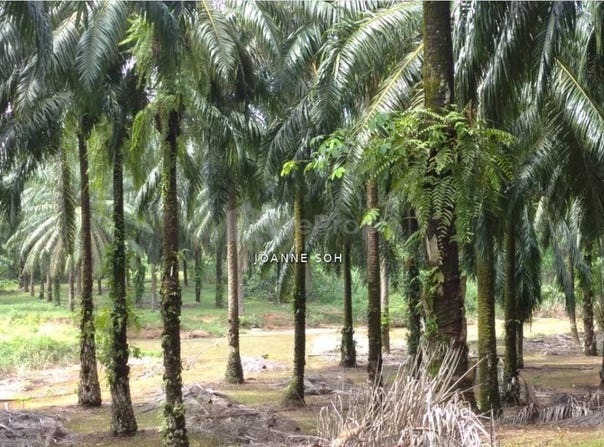 Taiping, Perak 0