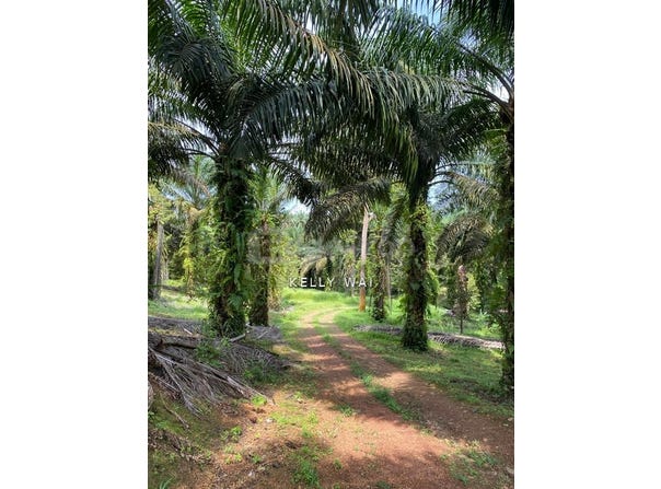 Kulai, Johor 81000