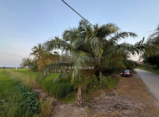 Sabak Bernam, Selangor 45300