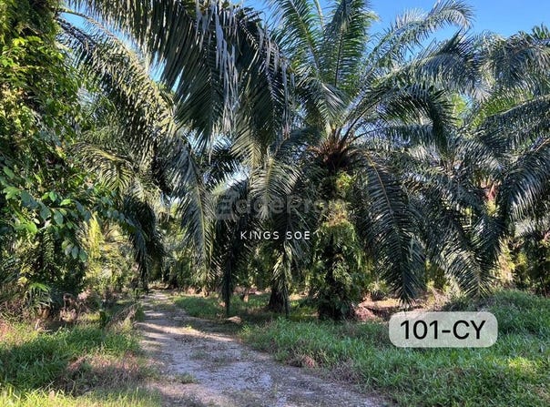 Kuala Langat, Selangor