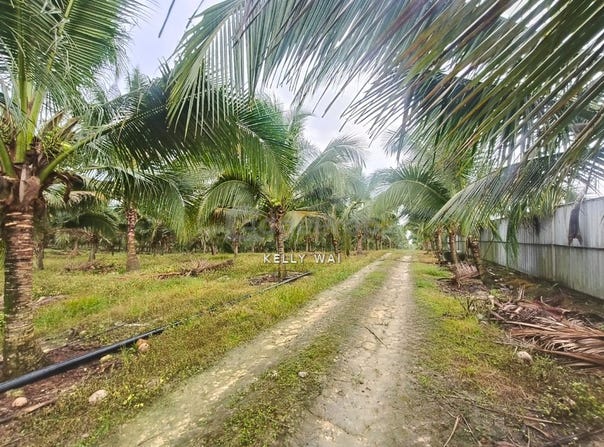 Kluang, Johor 86200