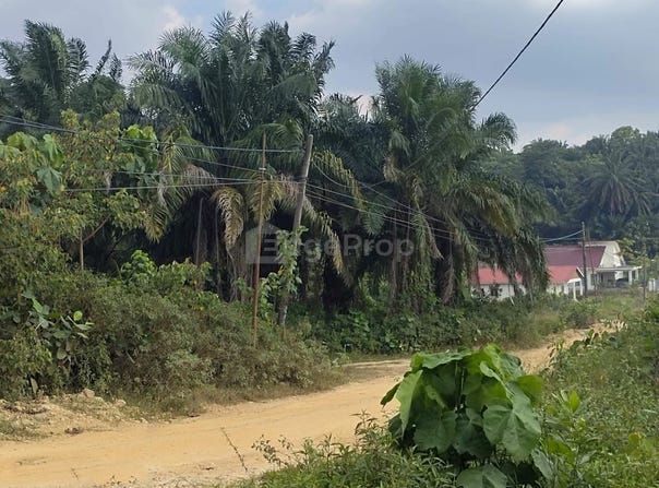 Jalan Setia Jaya, Kapar, Selangor 42200