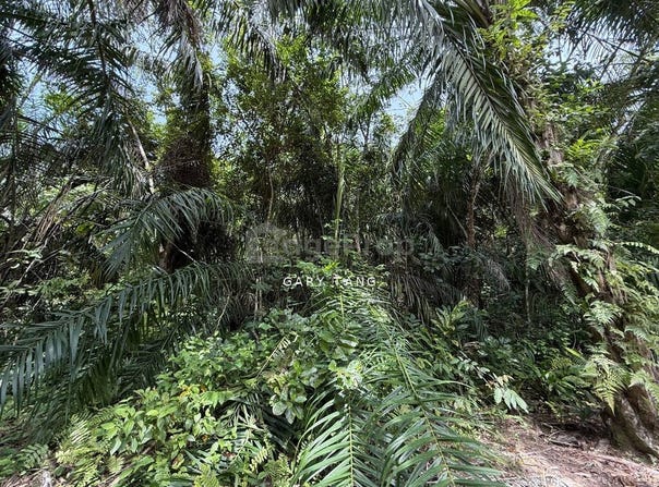 Sungai Siput Perlop, Kuala Kangsar, Perak 31100