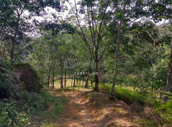 Semenyih, Selangor